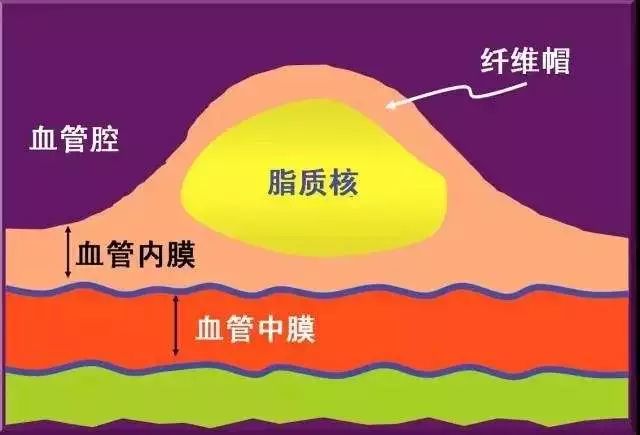 微信图片_20190709082824