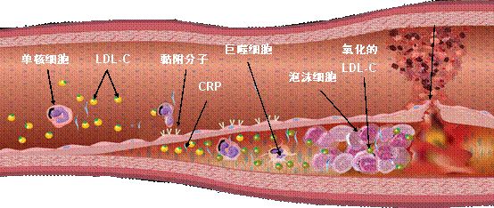 微信图片_20190709082835