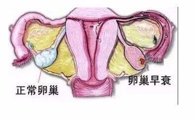 微信图片_20190709111456