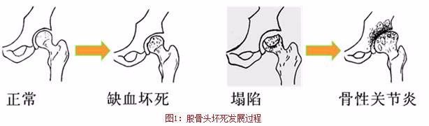 微信图片_20190709111603